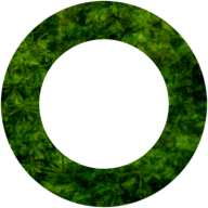 textured green circle with hole